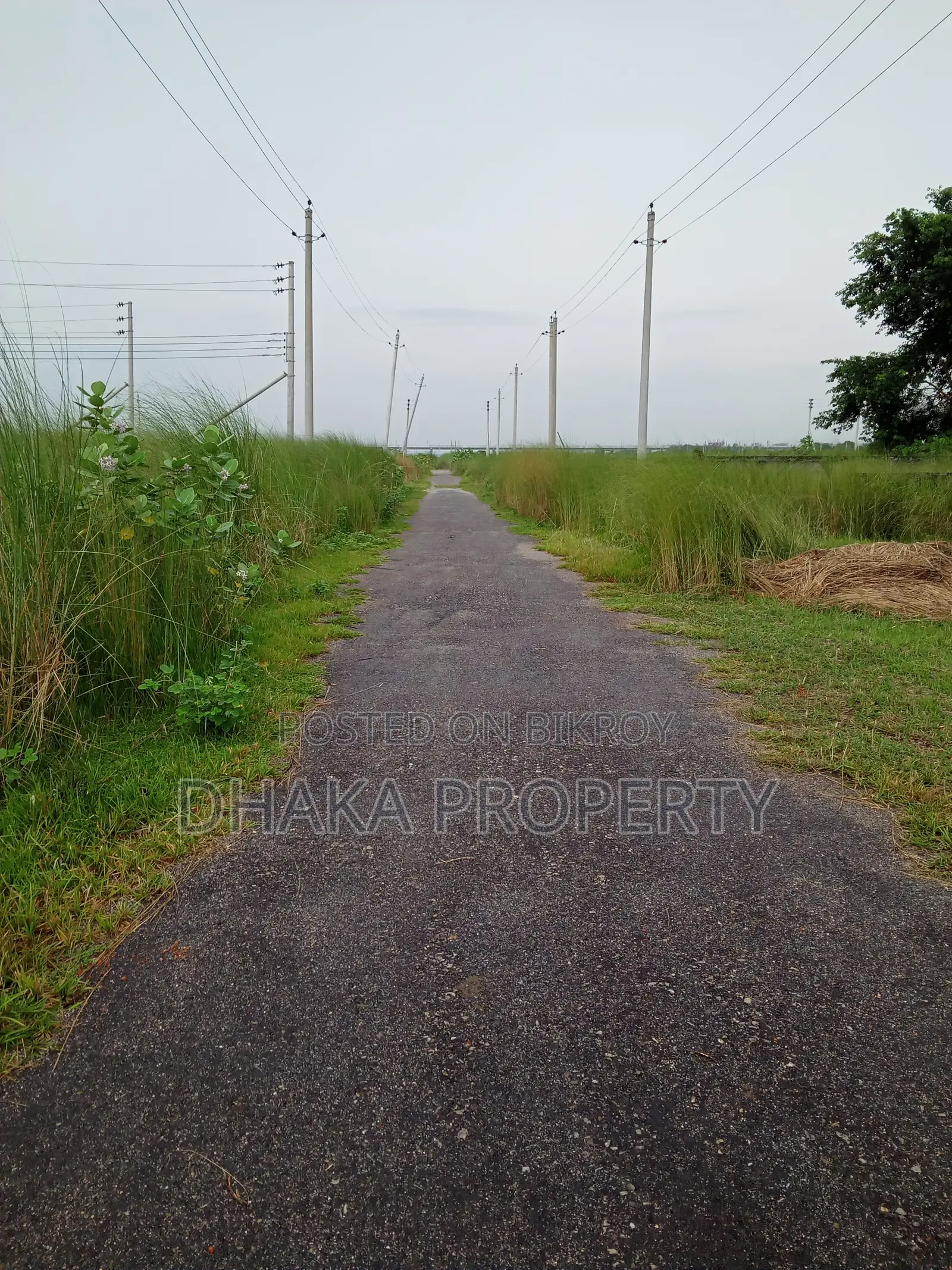 30ft Rd 3 Katha Park West At Sector-17/A in Uttara