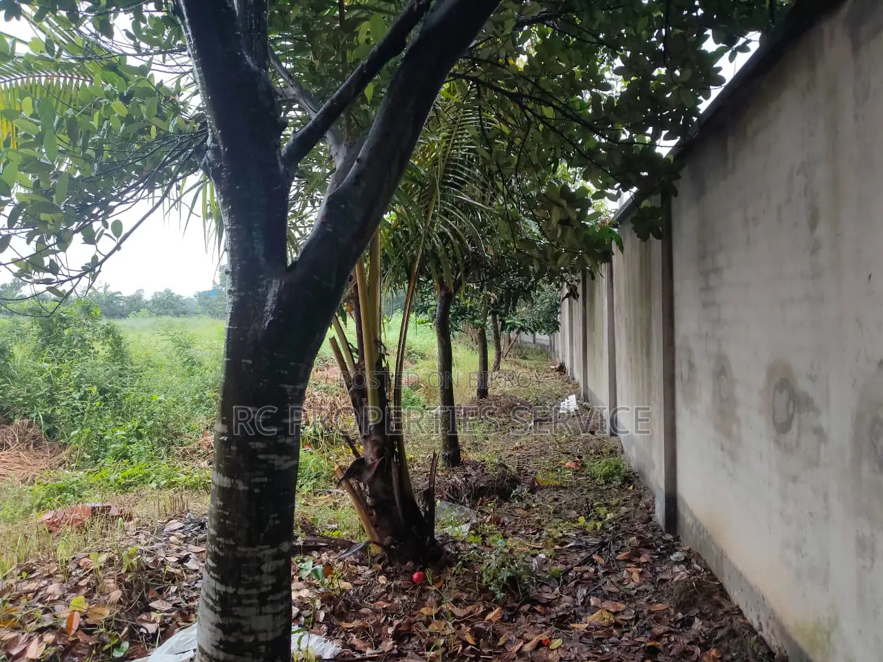 7 Bigha Land Rent in Gazipur Sadar