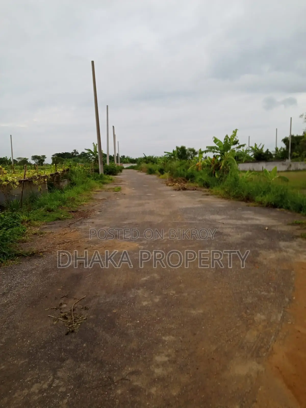 30ft Rd 9 Katha Park South at Sector-17/E in Uttara