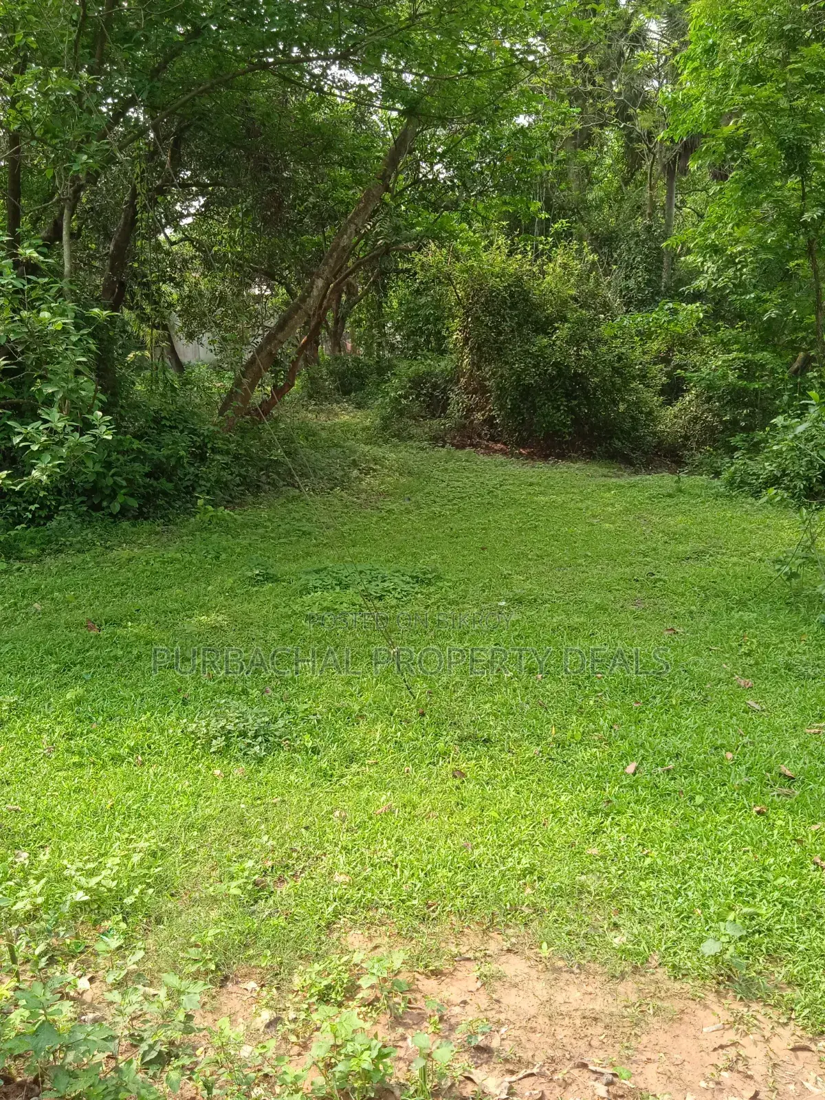 7 Decimal Land in Kaliganj—Ideal for Home or Investment in Kaliganj