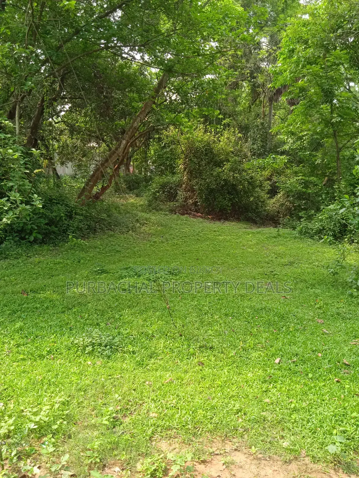 7 Decimal Land in Kaliganj—Ideal for Home or Investment in Kaliganj