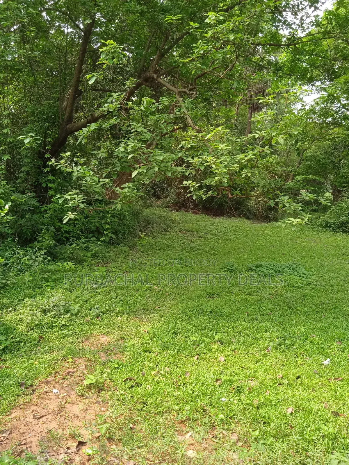 7 Decimal Land in Kaliganj—Ideal for Home or Investment in Kaliganj