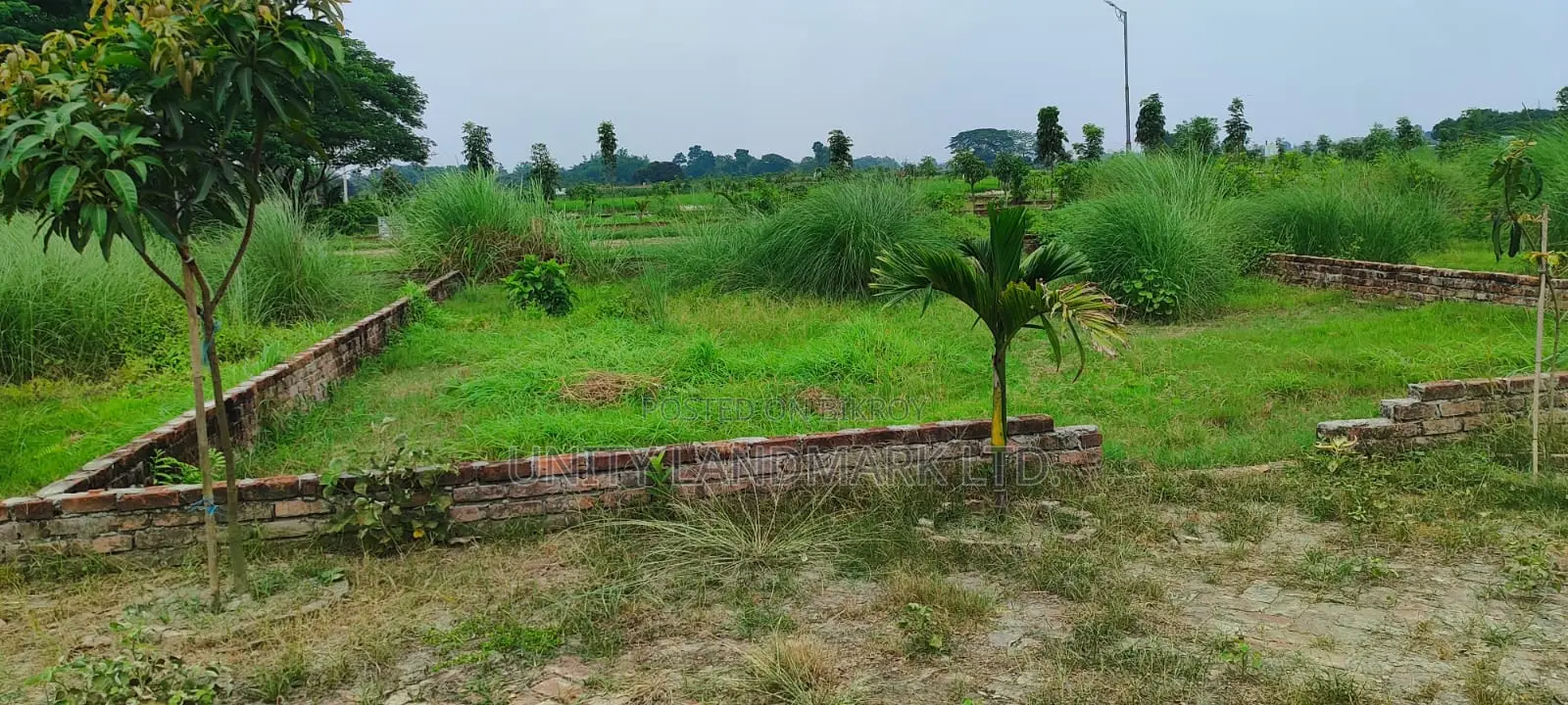 5 Katha Ready Plot for Sale Near Hemayetpur, Close to Metro Rail in Singair