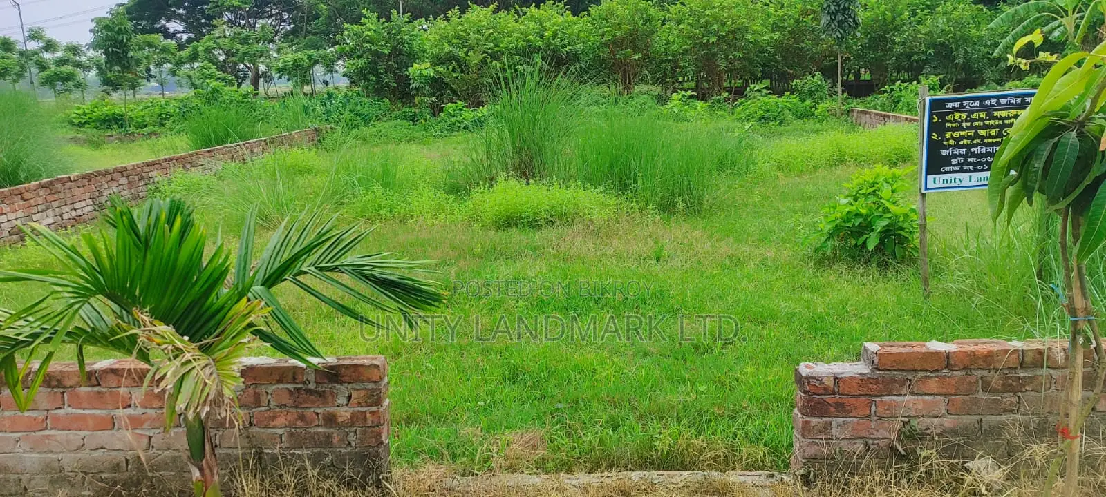 5 Katha Ready Plot for Sale Near Hemayetpur, Close to Metro Rail in Singair