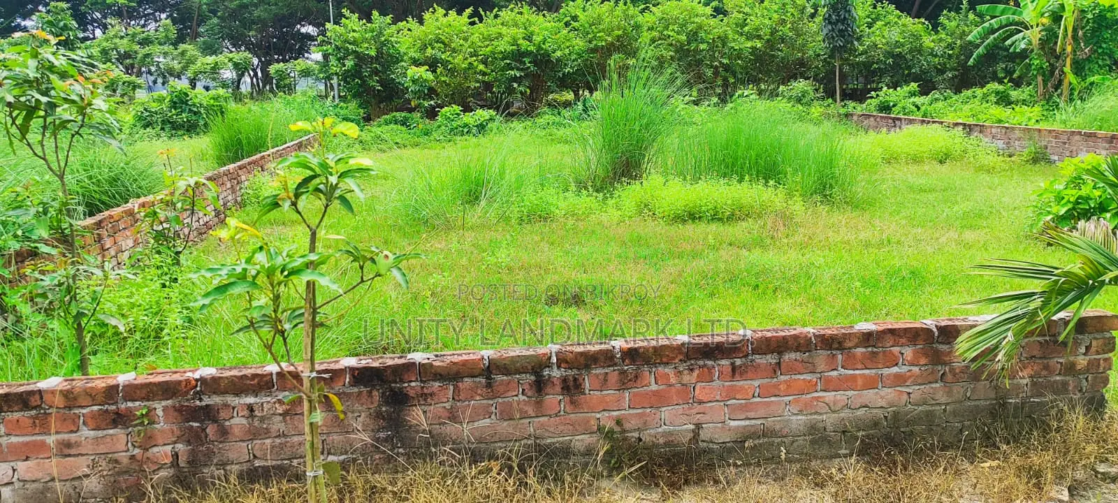 5 Katha Ready Plot for Sale Near Hemayetpur, Close to Metro Rail in Singair