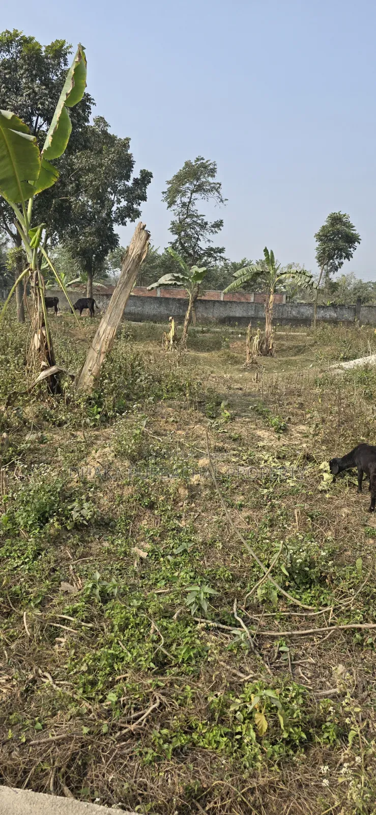 Rajuk Purbachal Sector 11 South-Facing Plot for Sale in Purbachal
