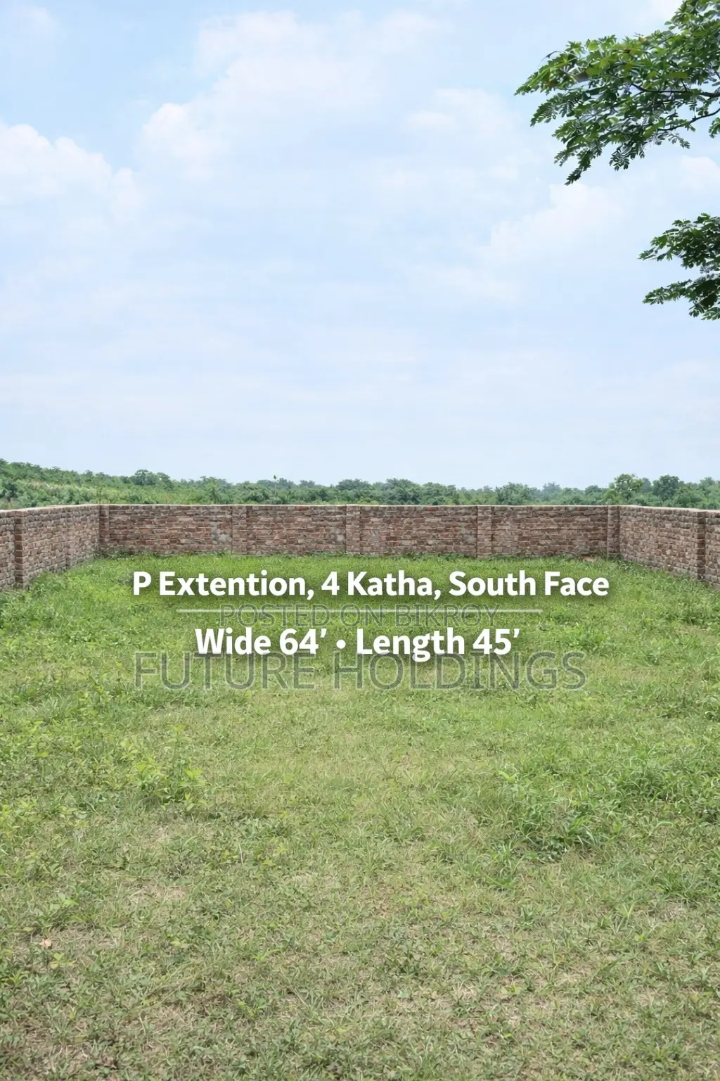 P Extention || 4 Katha South Facing in Basundhara