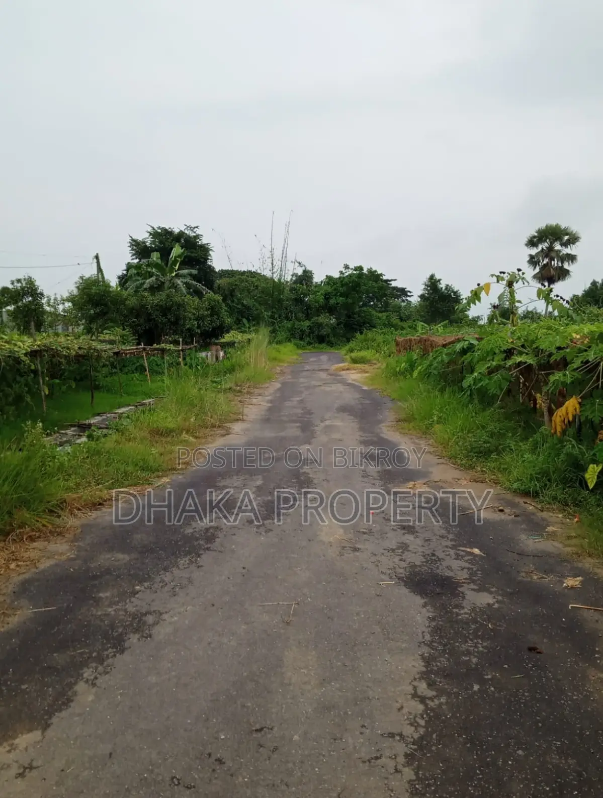 Cheap Rate 5 Katha Park North at Sector-29 in Purbachal