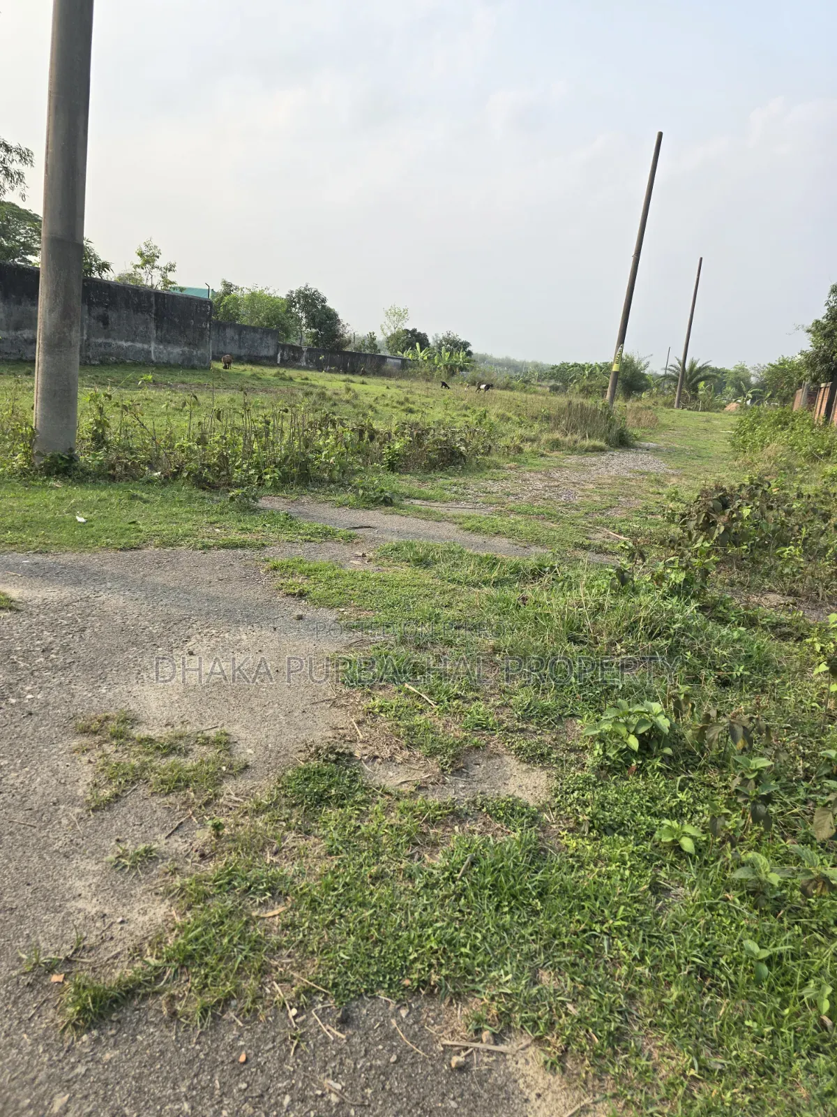 Rajuk Uttara 3 Katha Plot in Uttara
