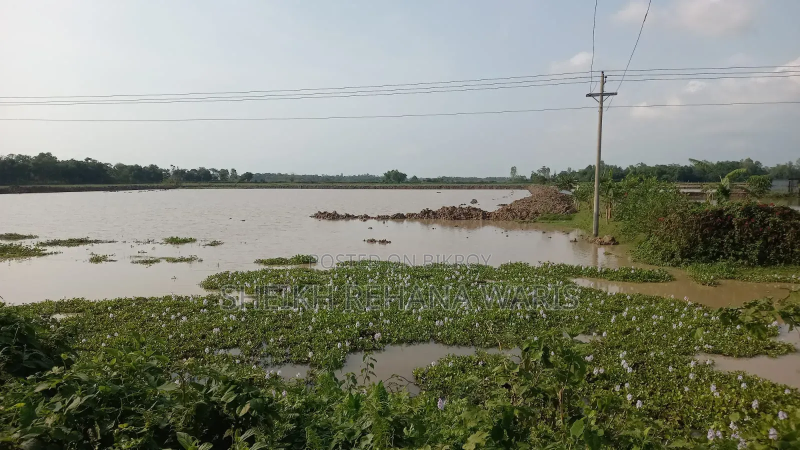 Land for Sale in Moulvibazar Sadar