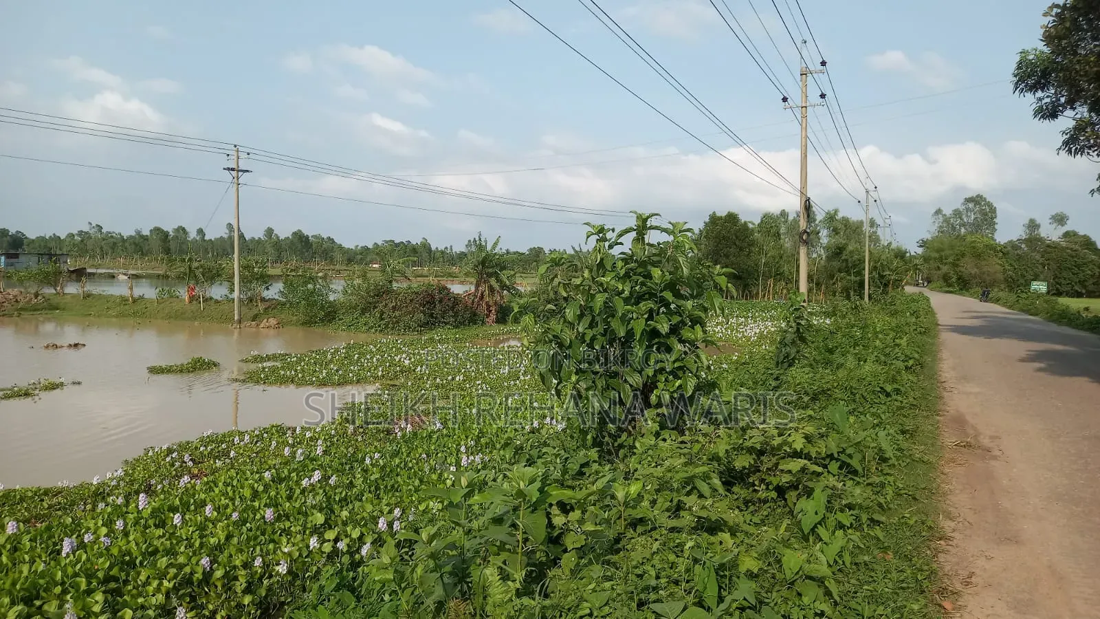 Land for Sale in Moulvibazar Sadar
