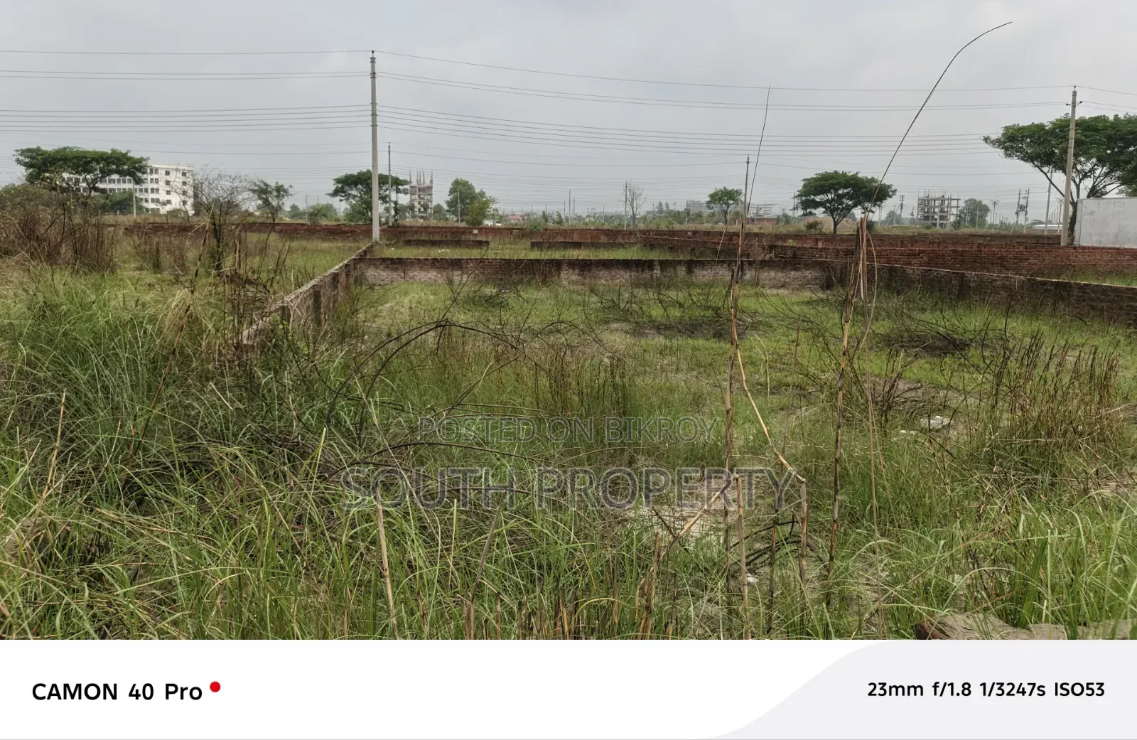 Block P, 4 Katha Plot for Sale in Bashundhara Baridhara in Basundhara