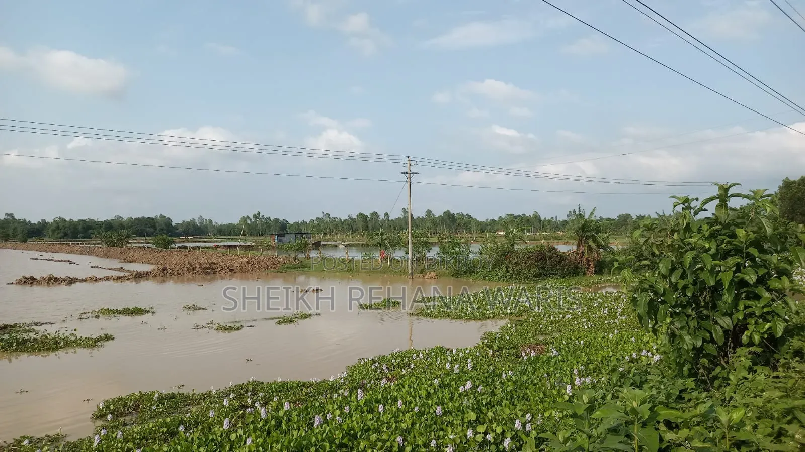 Land for Sale in Moulvibazar Sadar