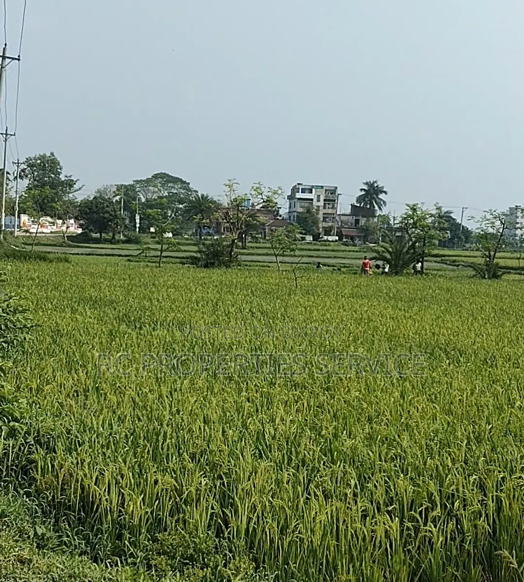 20 Bigha Industrial Land Rent In Gazipur in Gazipur Sadar