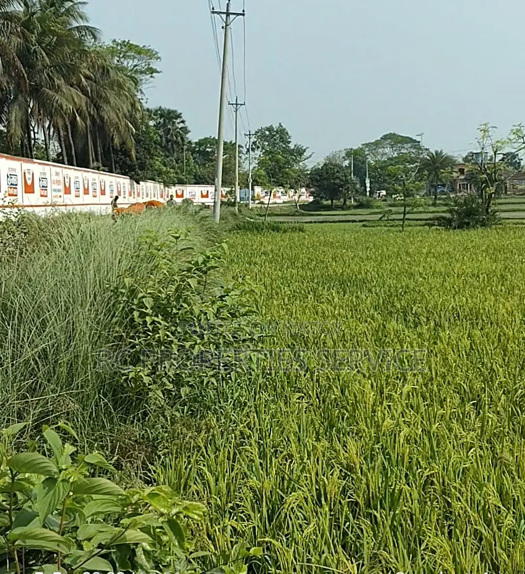 20 Bigha Industrial Land Rent In Gazipur in Gazipur Sadar