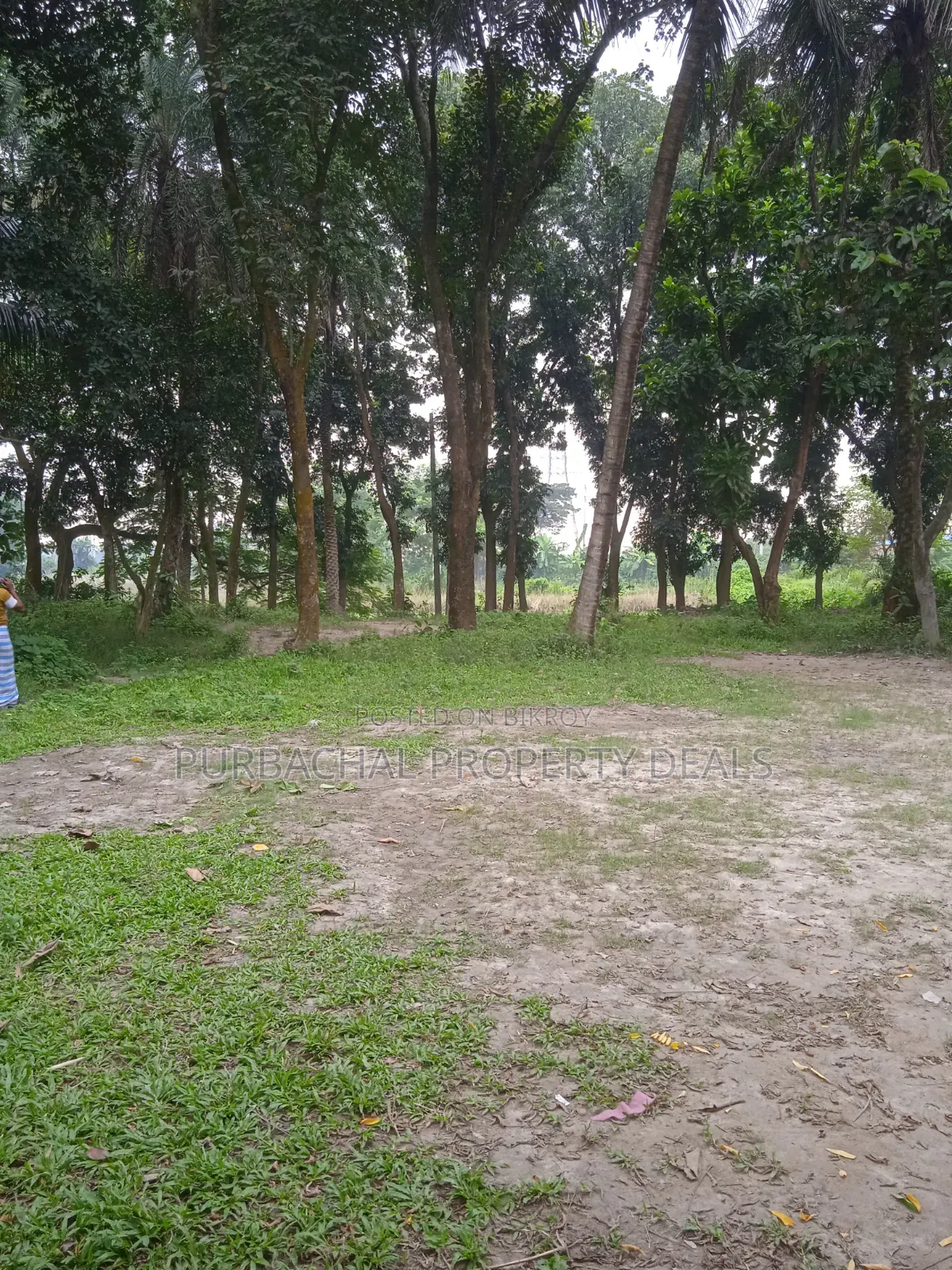 250 Decimal Ready Commercial Land for Sale Adjacent to Dhaka-Chattogram Highway in Narayanganj Sadar