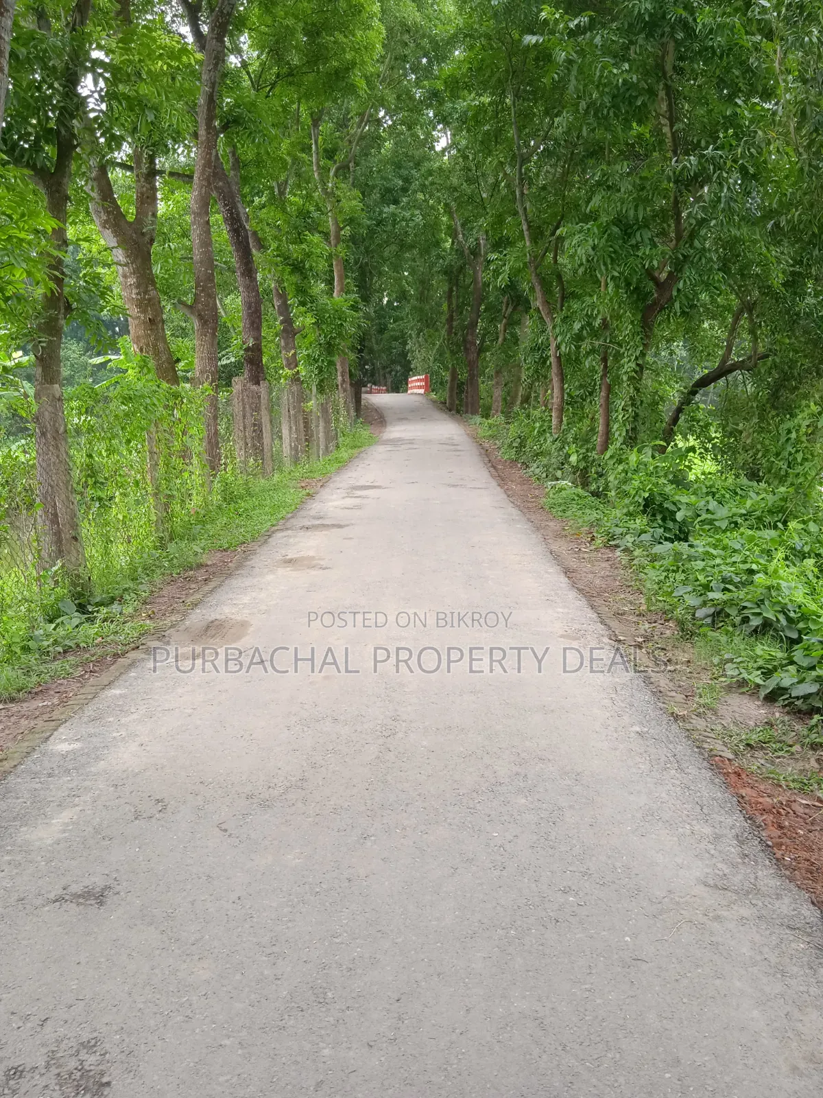 Land for Sale Suitable for a Large 12-Bigha Garden Project in Kaliganj in Kaliganj