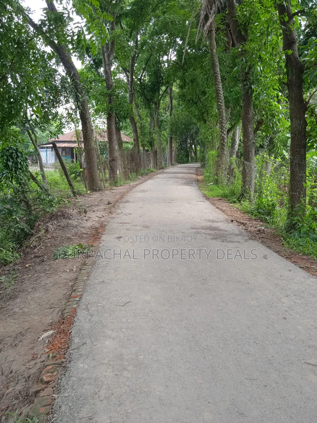 Land for Sale Suitable for a Large 12-Bigha Garden Project in Kaliganj in Kaliganj