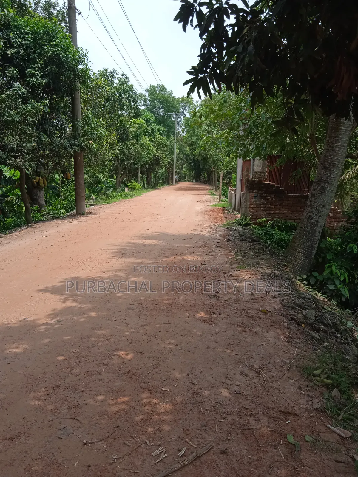 31 Decimal Premium Land for Sale Near 24ft Road in Kaliganj Upazila! in Kaliganj