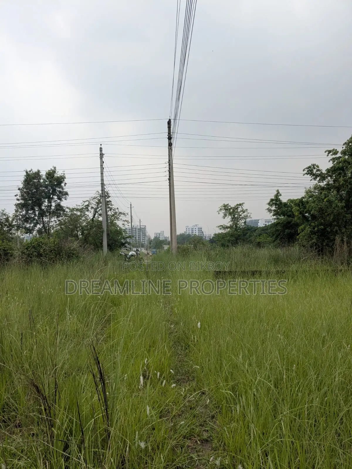 3 Katha South Facing Plot for Sale in Bashundhara R/A in Basundhara