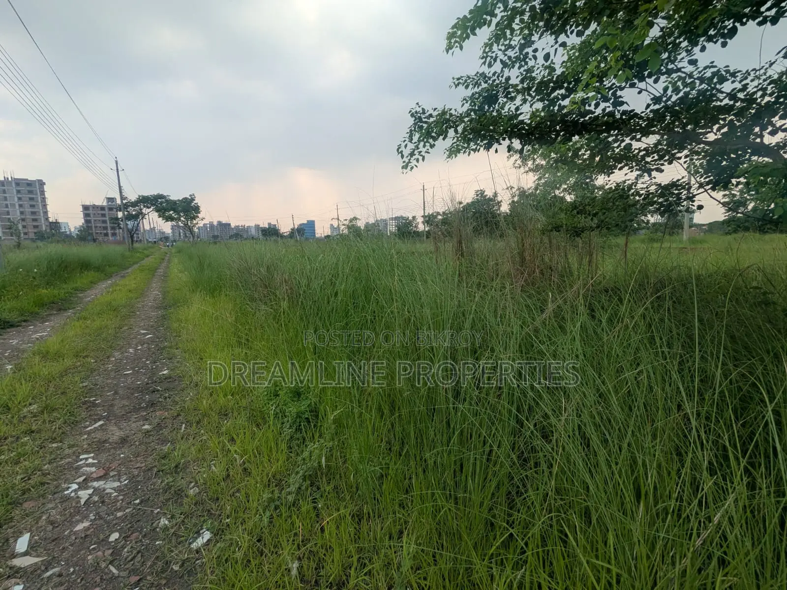 3 Katha South Facing Plot in N Block Near Bashundhara Sports City in Basundhara