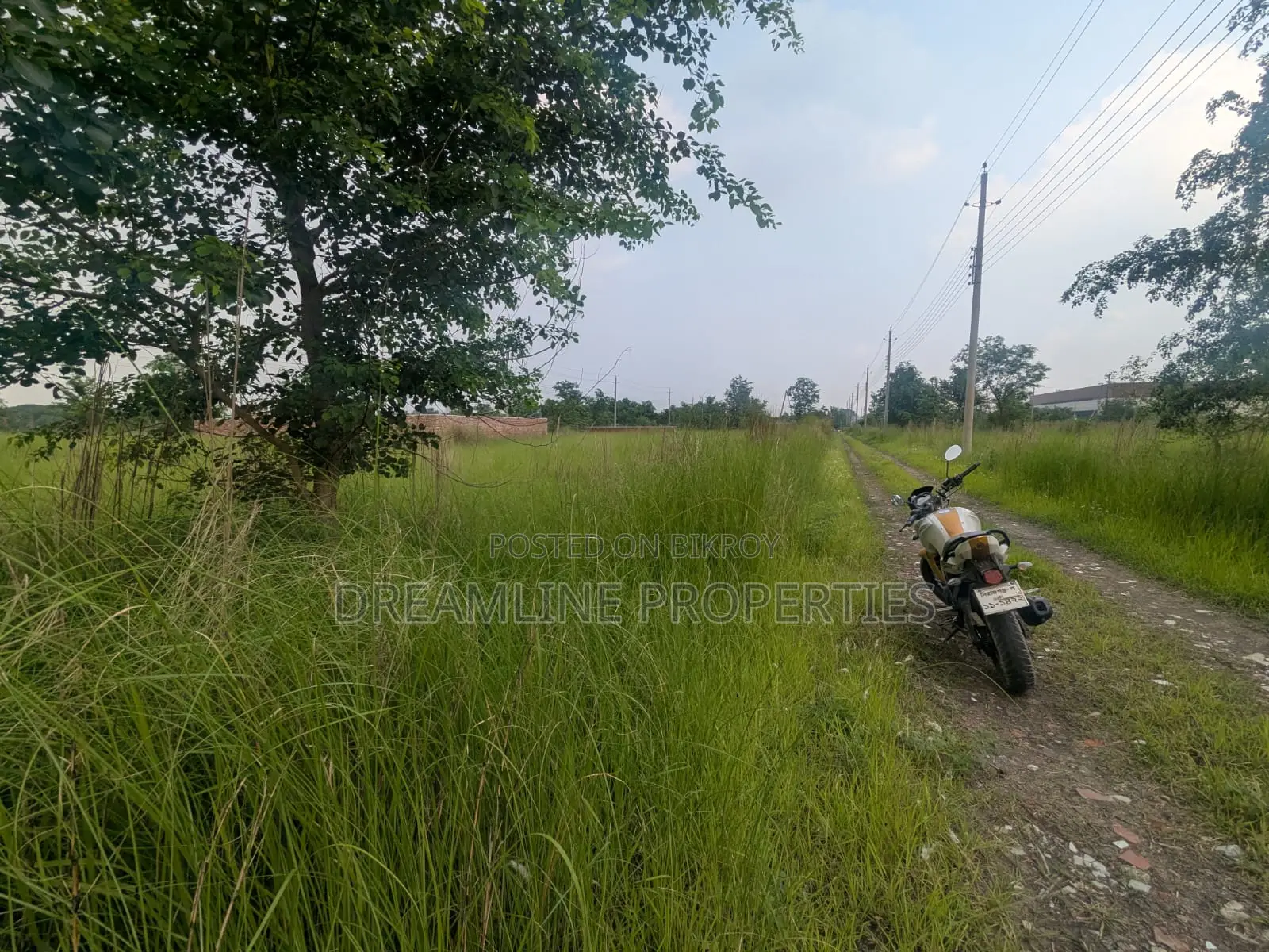 3 Katha South Facing Plot in N Block Near Bashundhara Sports City in Basundhara