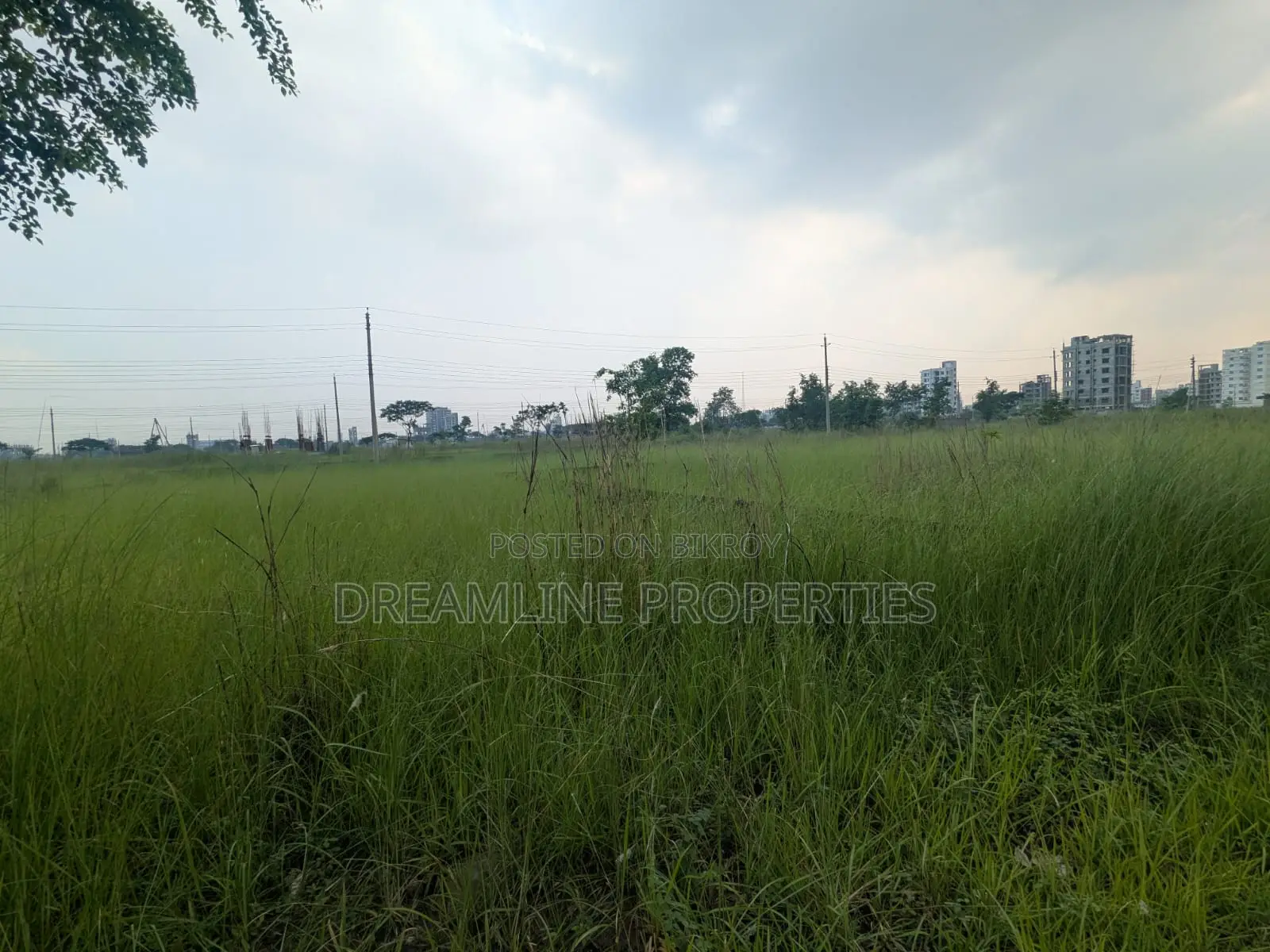 3 Katha South Facing Plot in N Block Near Bashundhara Sports City in Basundhara