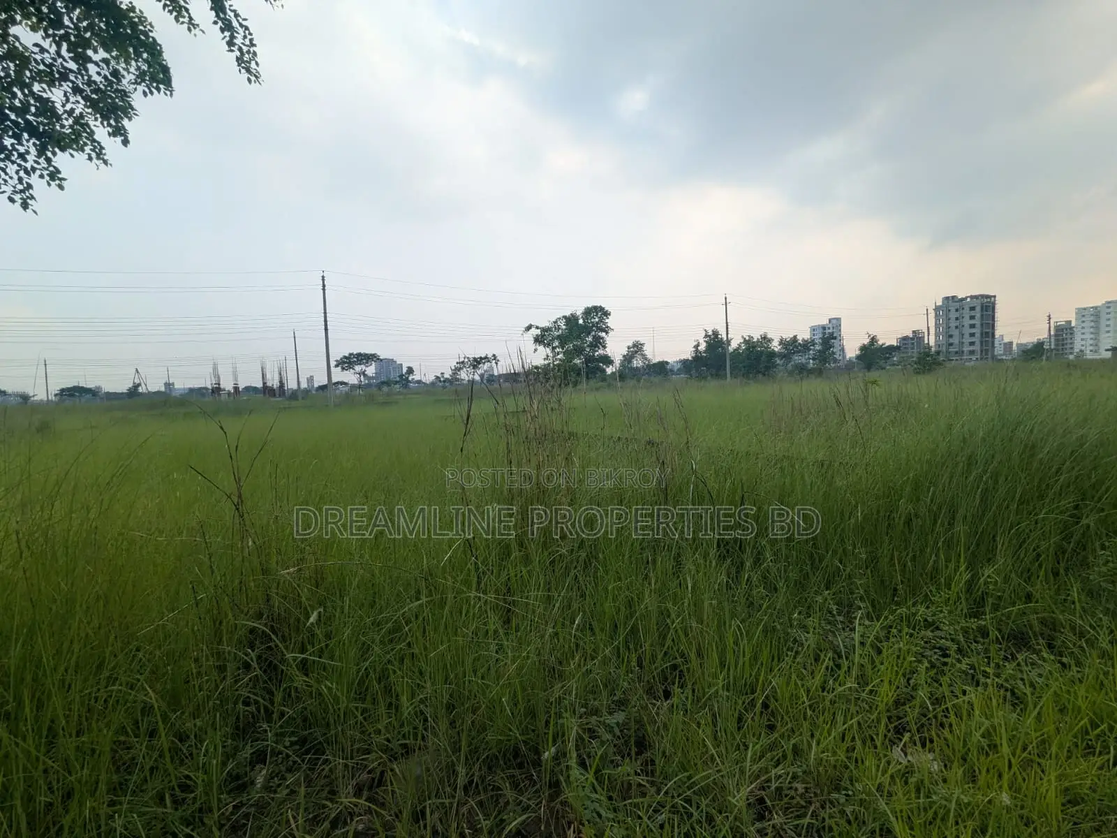3 Katha South Facing Plot in N Block Near Bashundhara Sports City in Basundhara