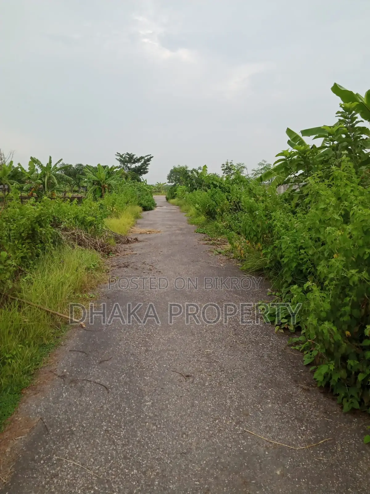 Sector 21, Park Er Pashe 3 Katha Plot Sale in Purbachal