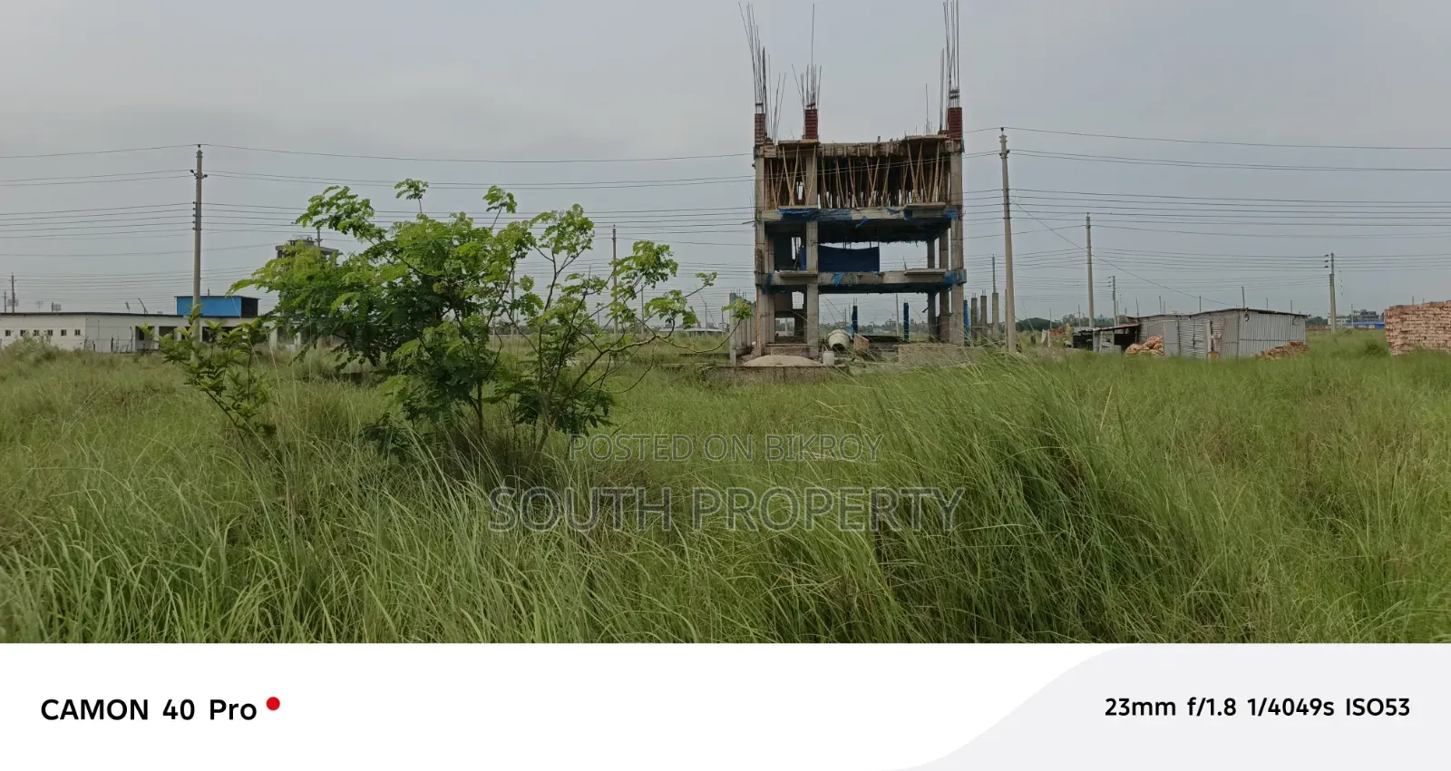 P Black Bashundhara Baridhara in Basundhara