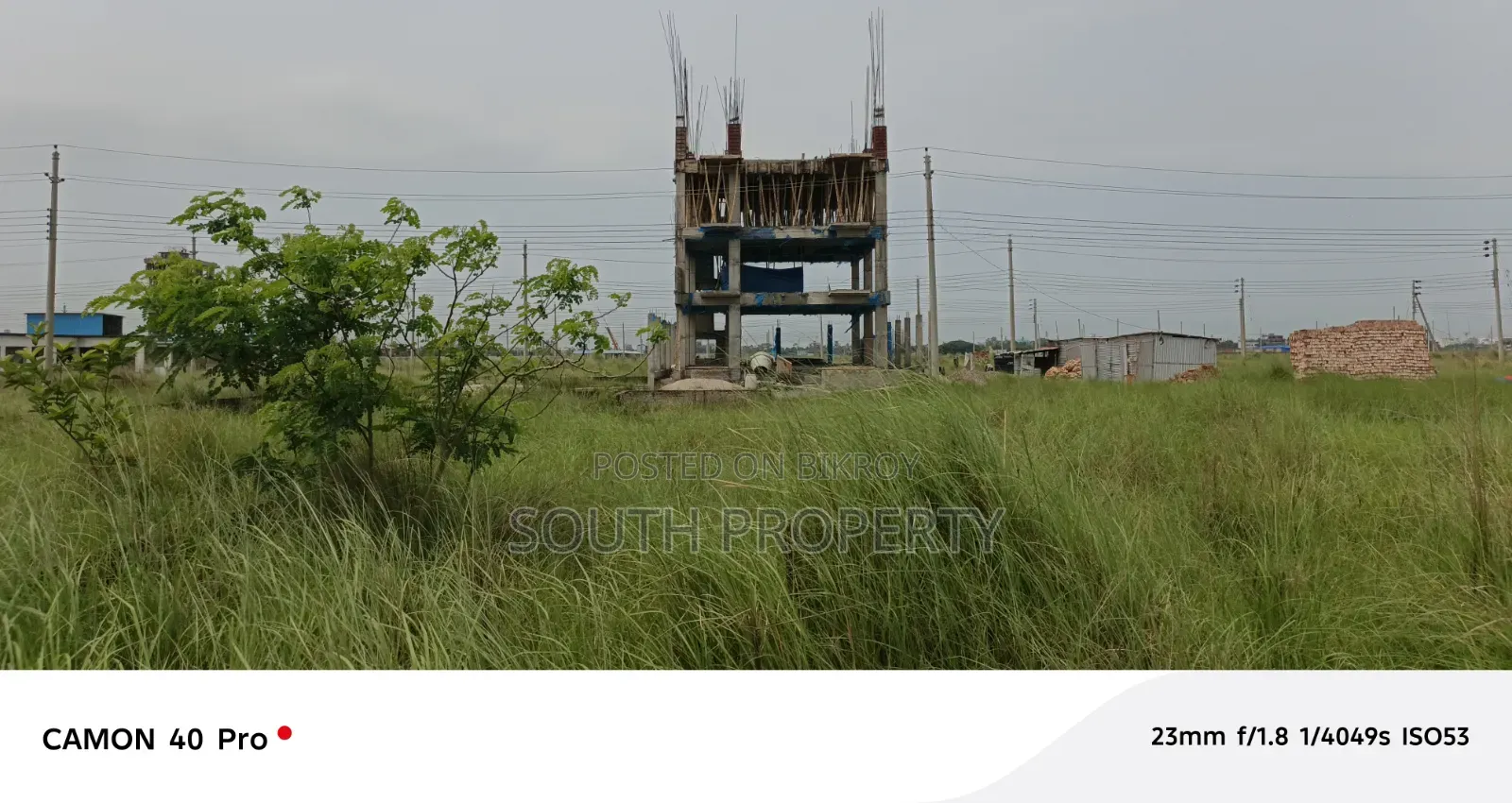 P Black Bashundhara Baridhara in Basundhara
