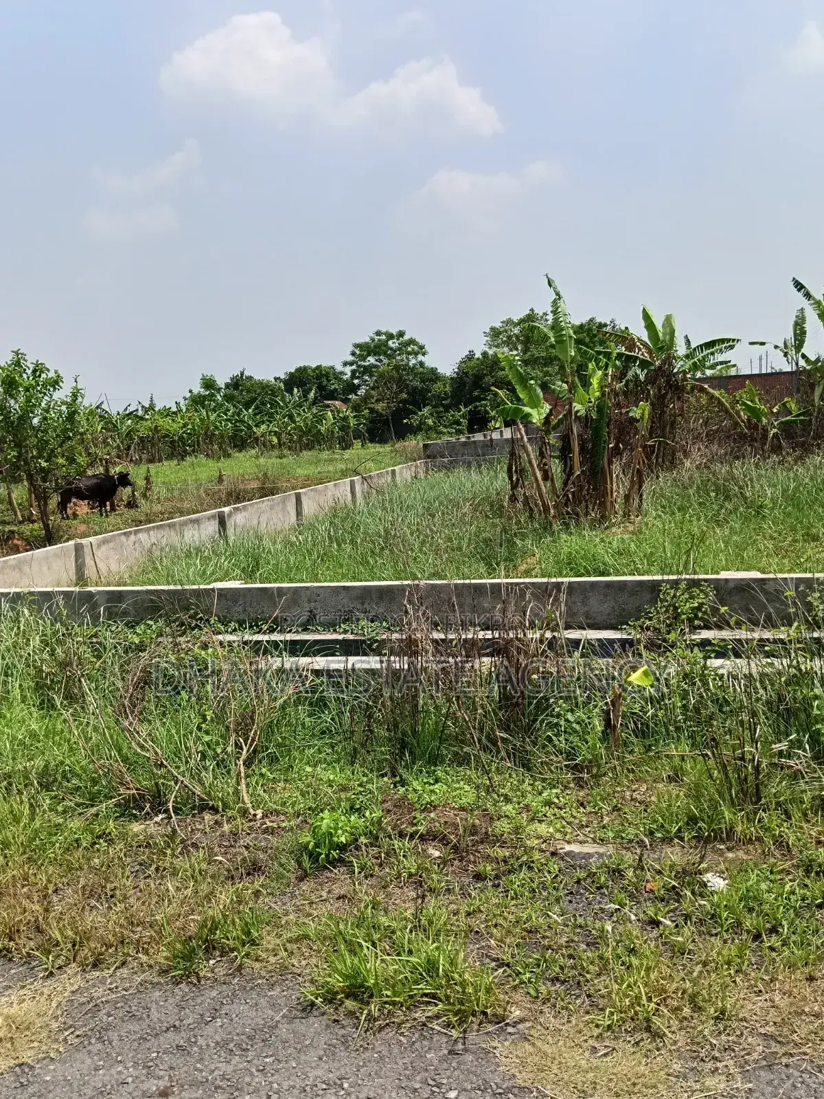 Block- P-Ext, 100×40 Feet Corner 20 Katha Plot Sale in Basundhara