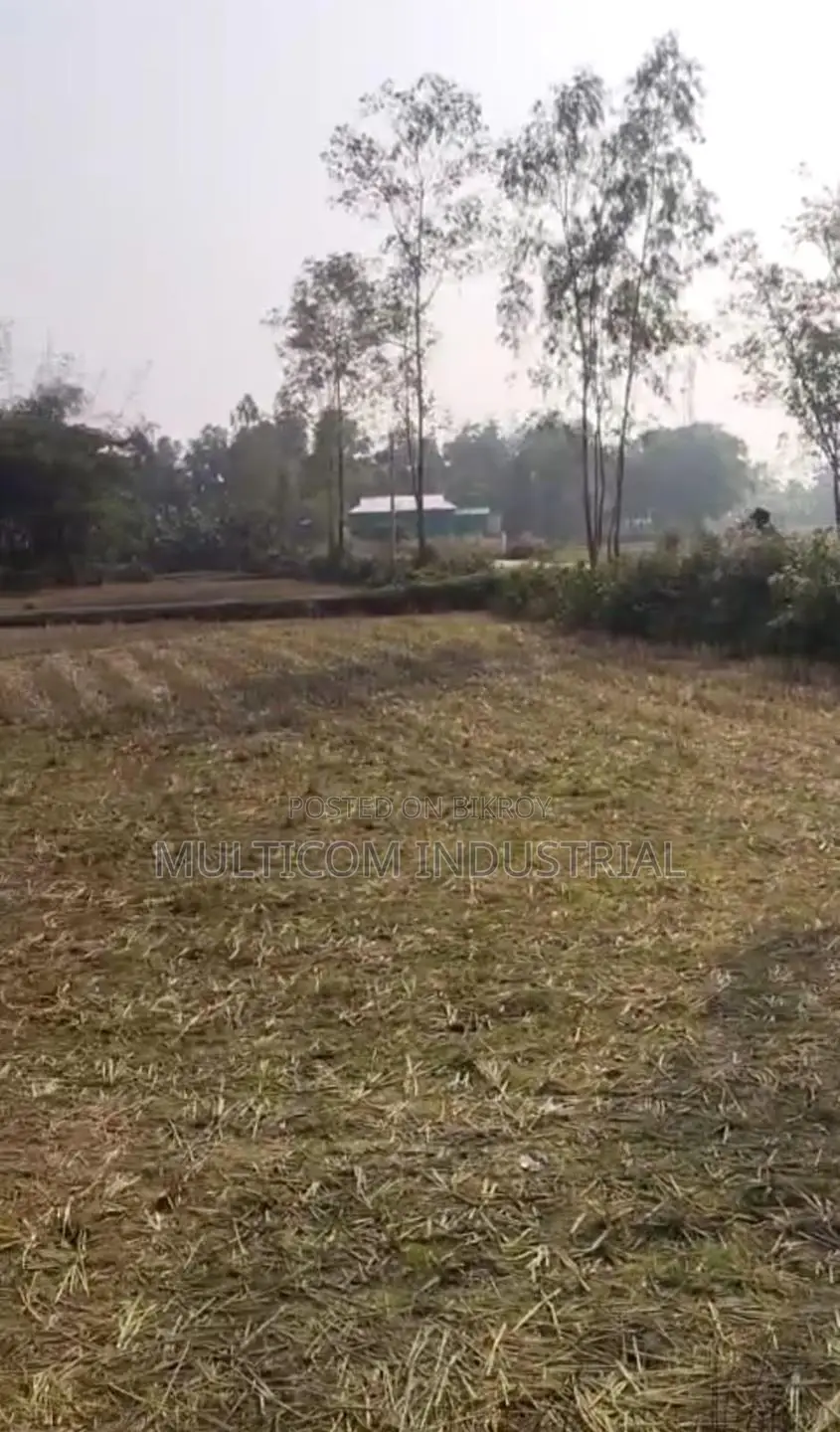120 Bigha Agricultural Land for Sale in Bhaluka in Bhaluka