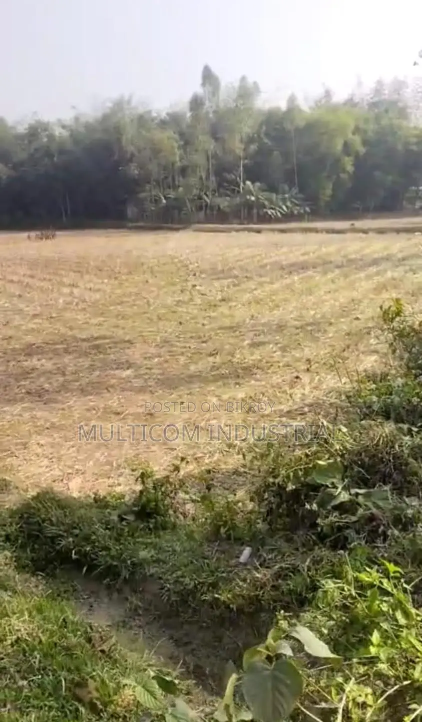 120 Bigha Agricultural Land for Sale in Bhaluka in Bhaluka