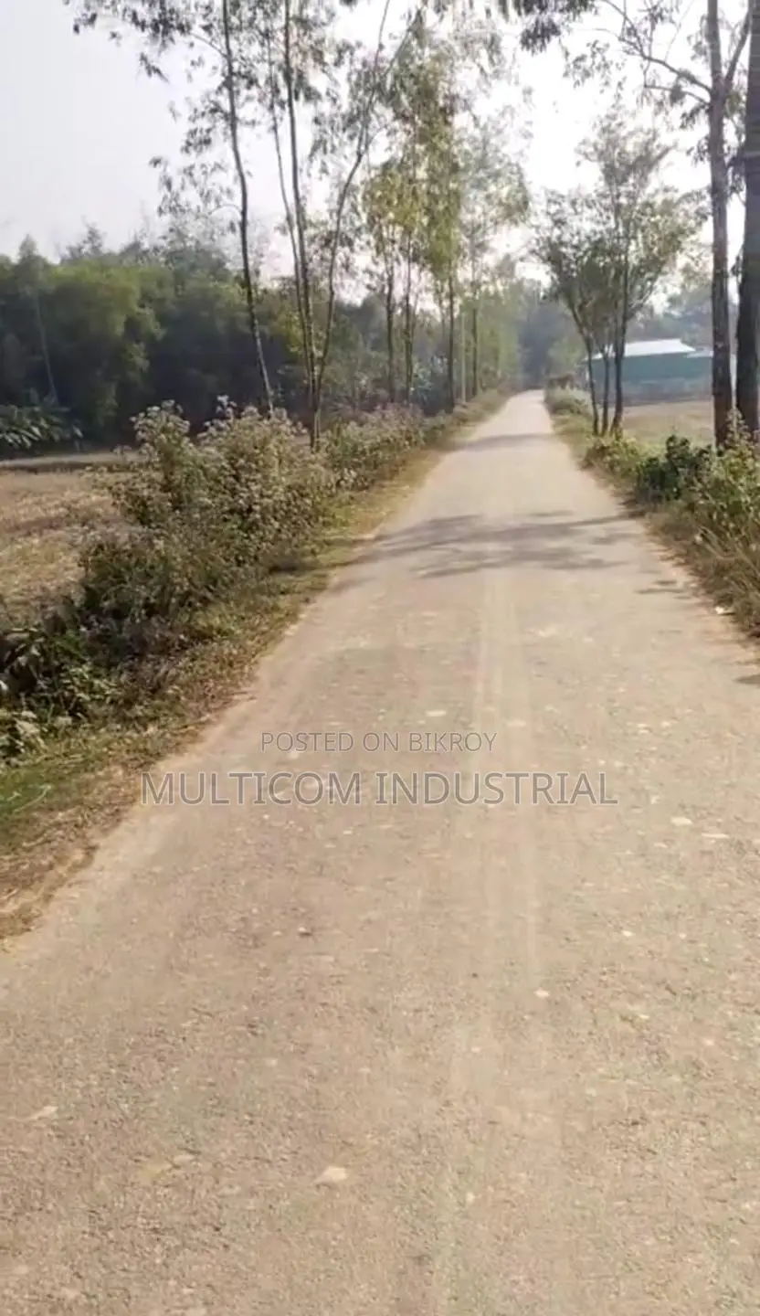 120 Bigha Agricultural Land for Sale in Bhaluka in Bhaluka