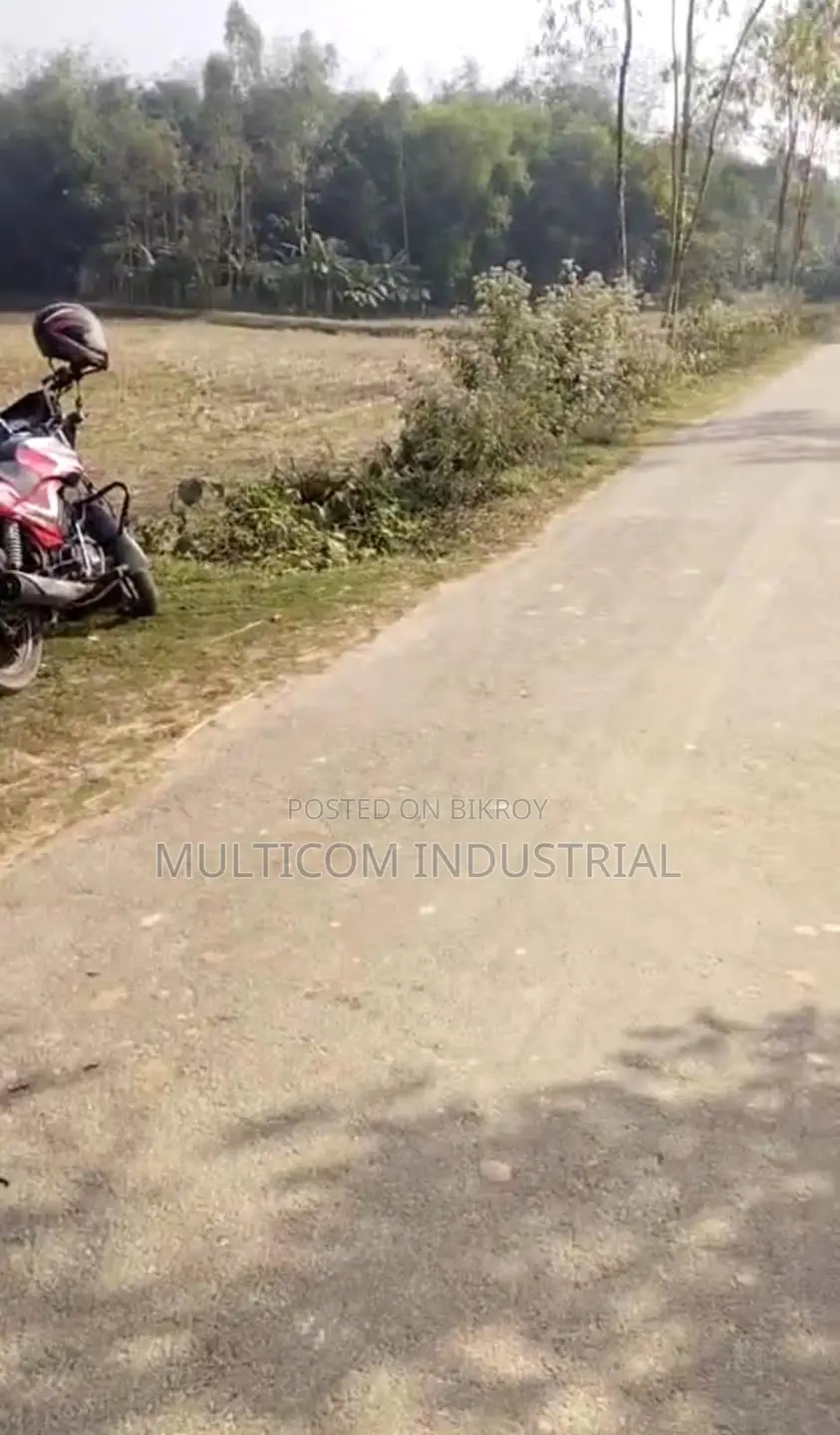 120 Bigha Agricultural Land for Sale in Bhaluka in Bhaluka
