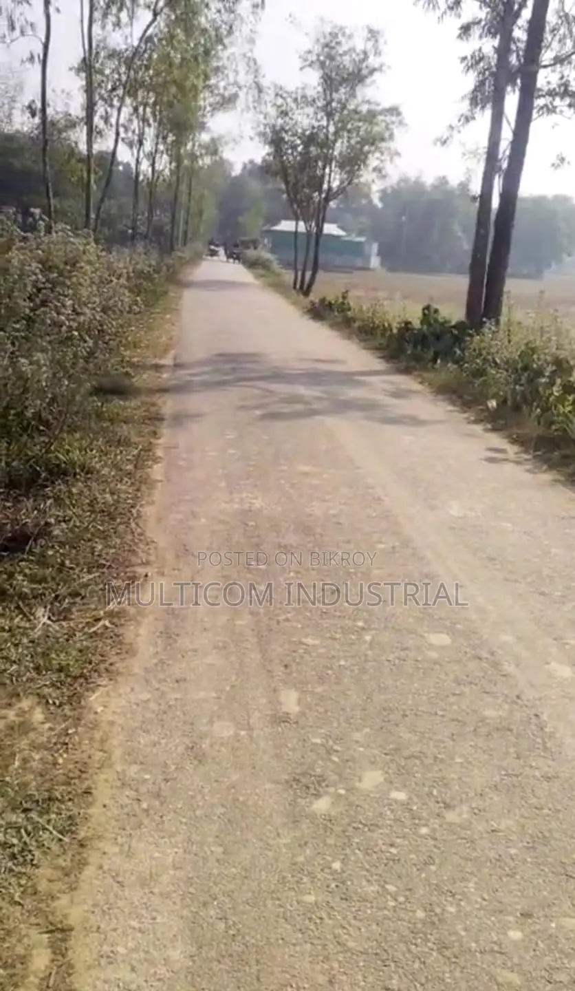 120 Bigha Agricultural Land for Sale in Bhaluka in Bhaluka
