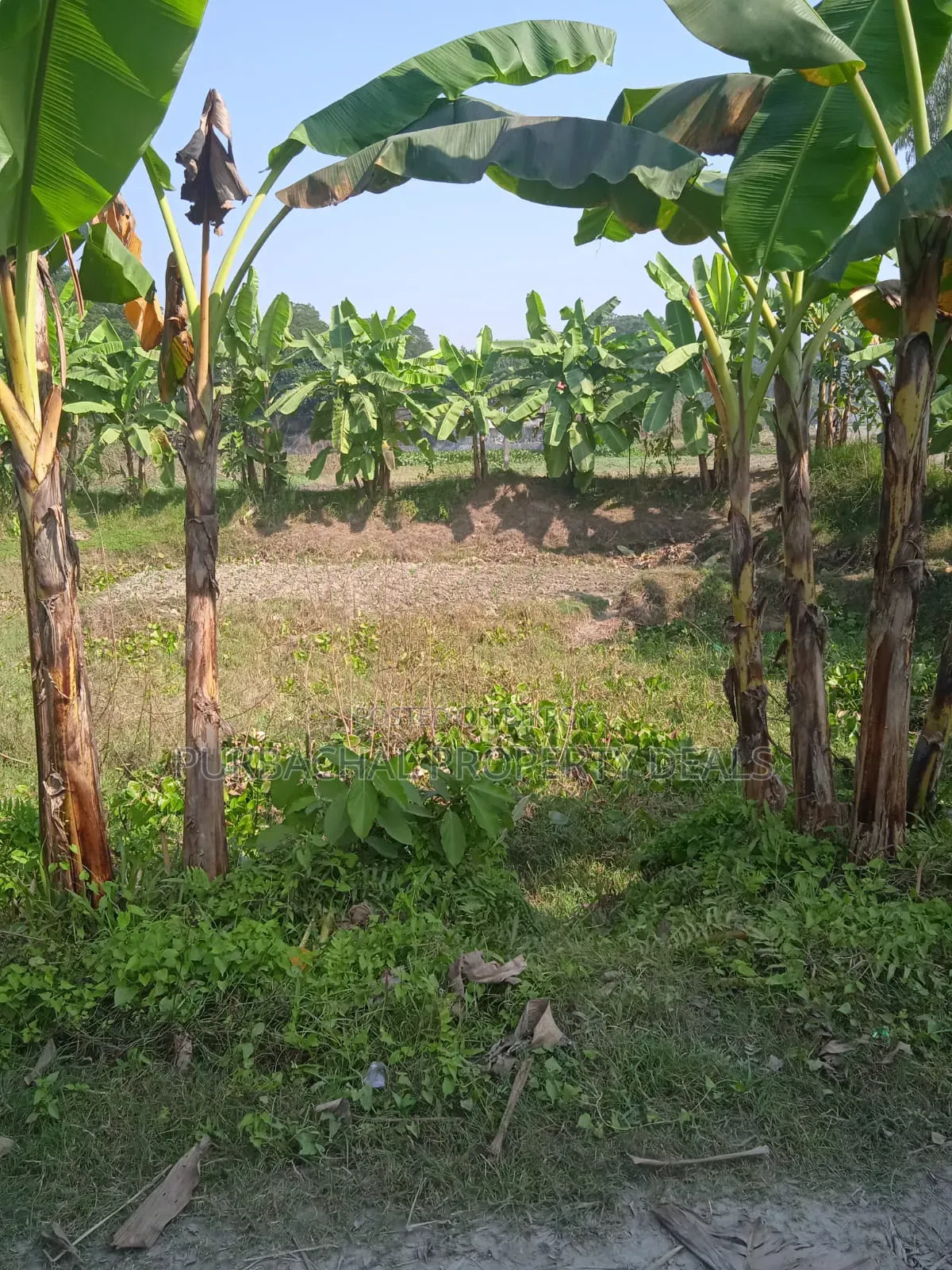 7 Decimal Land for Sale in a Modern Residential Area Near Purbachal! in Purbachal