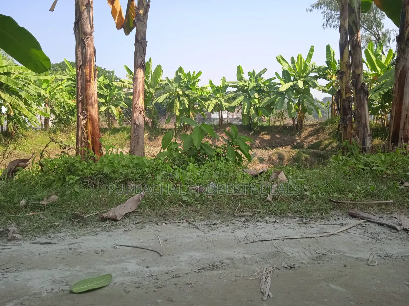 7 Decimal Land for Sale in a Modern Residential Area Near Purbachal! in Purbachal