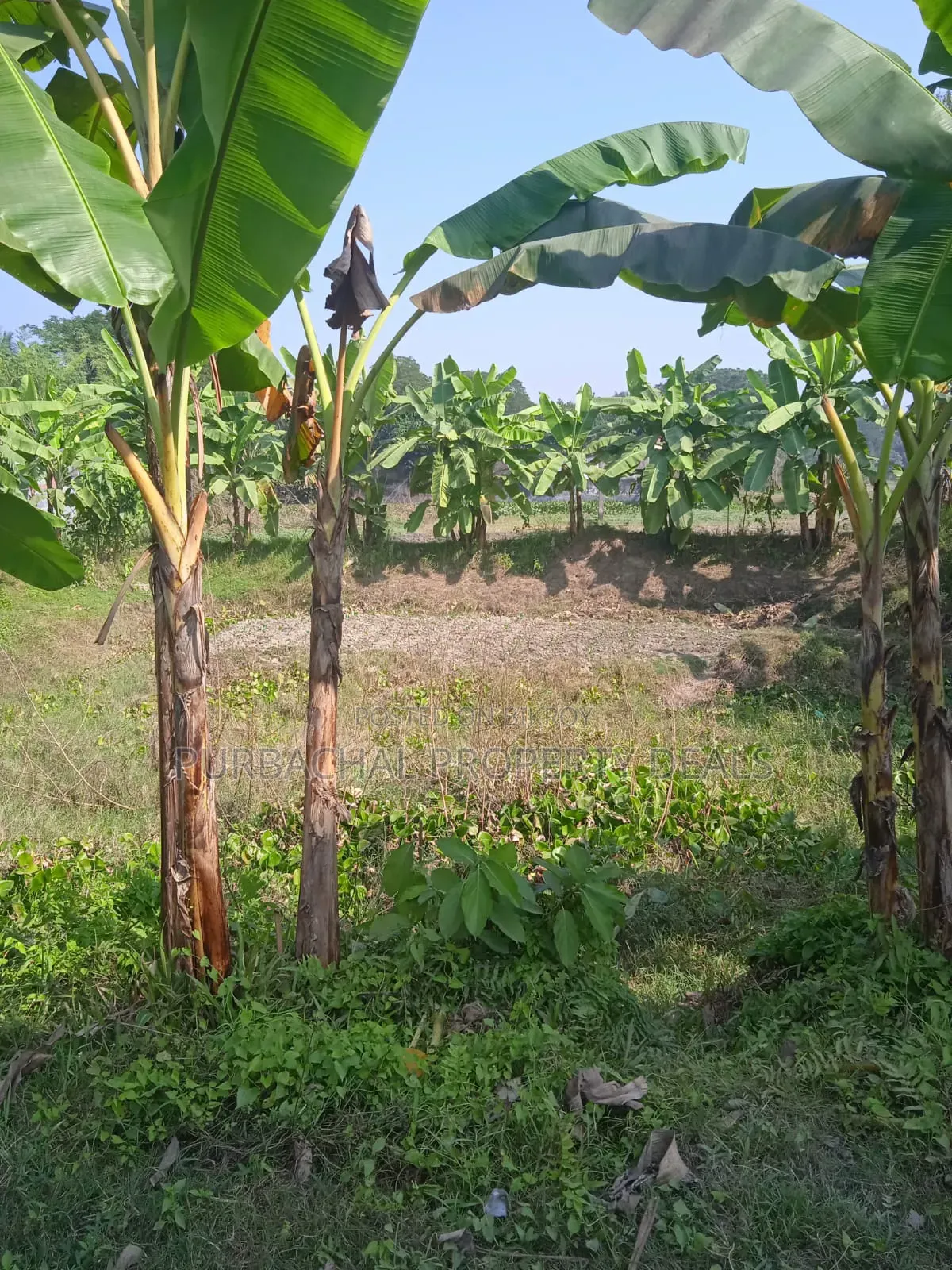 7 Decimal Land for Sale in a Modern Residential Area Near Purbachal! in Purbachal
