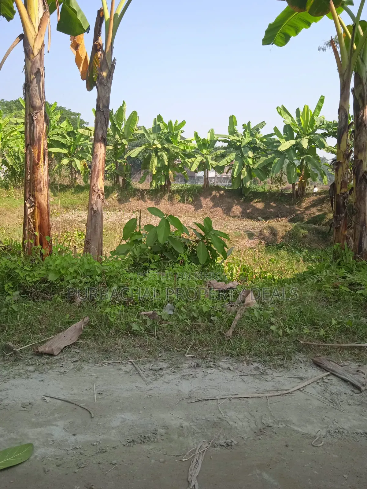 7 Decimal Land for Sale in a Modern Residential Area Near Purbachal! in Purbachal