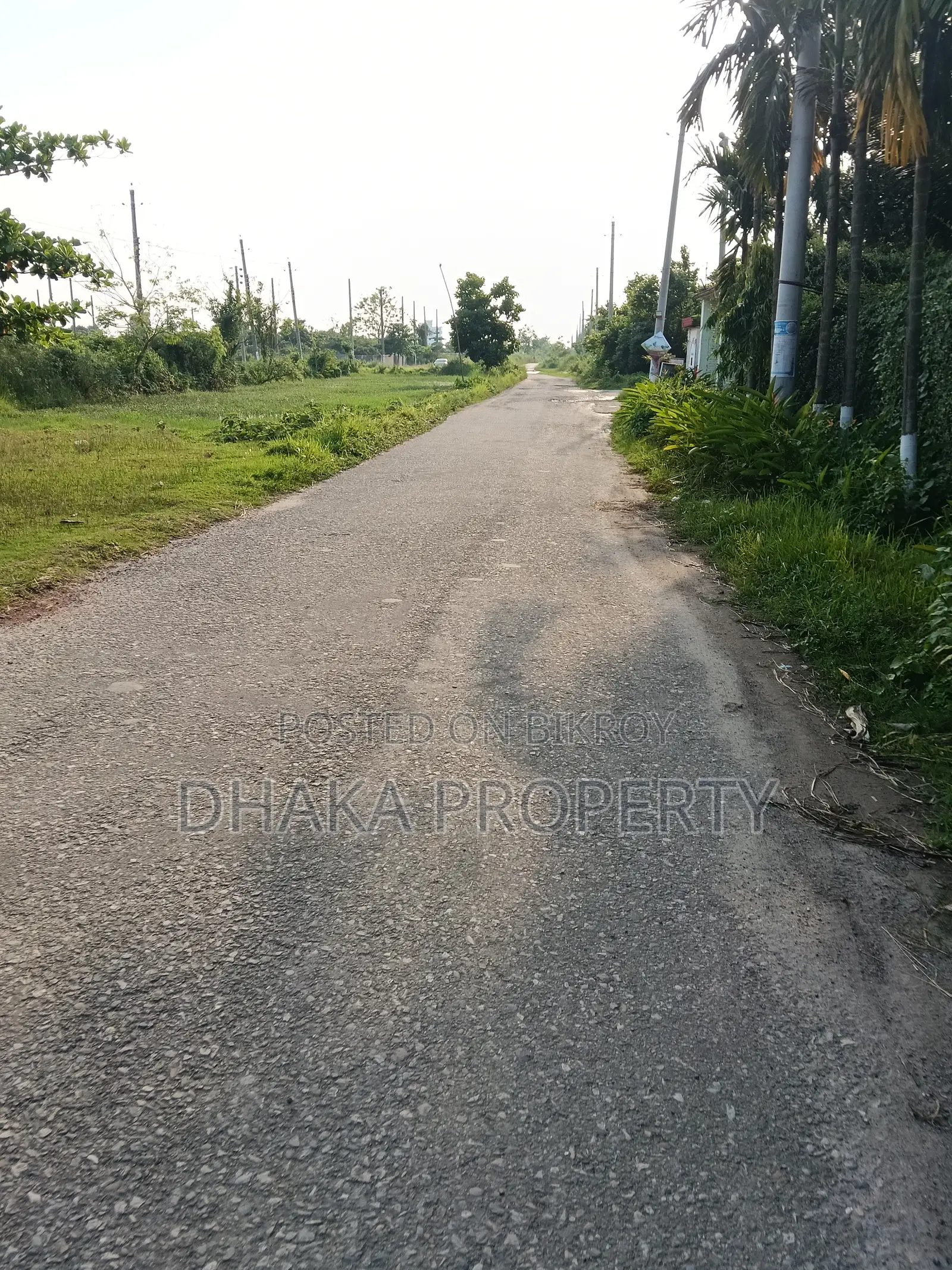 36ft Rd 3 Katha Park East at Sector-9 in Purbachal