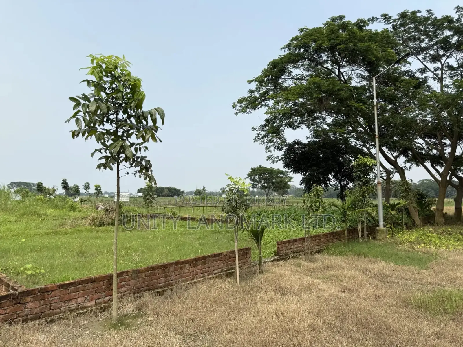 Ready Plots for Sale (10 Katha) | Near 100' Avenue Road & Metro Rail in Singair