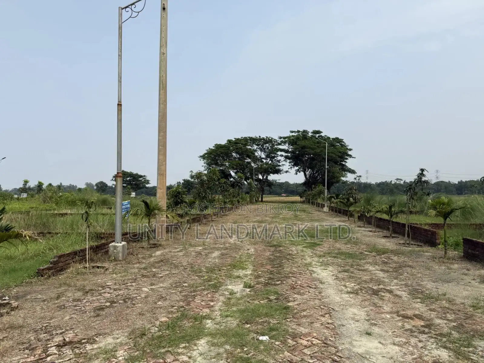 Ready Plots for Sale (10 Katha) | Near 100' Avenue Road & Metro Rail in Singair