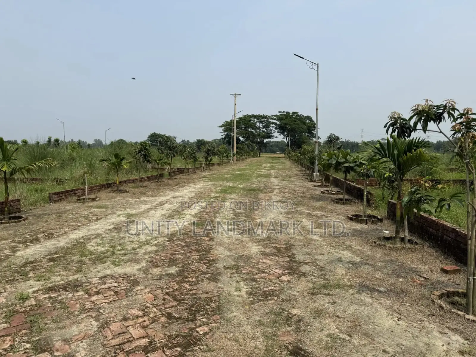 Ready Plots for Sale (10 Katha) | Near 100' Avenue Road & Metro Rail in Singair