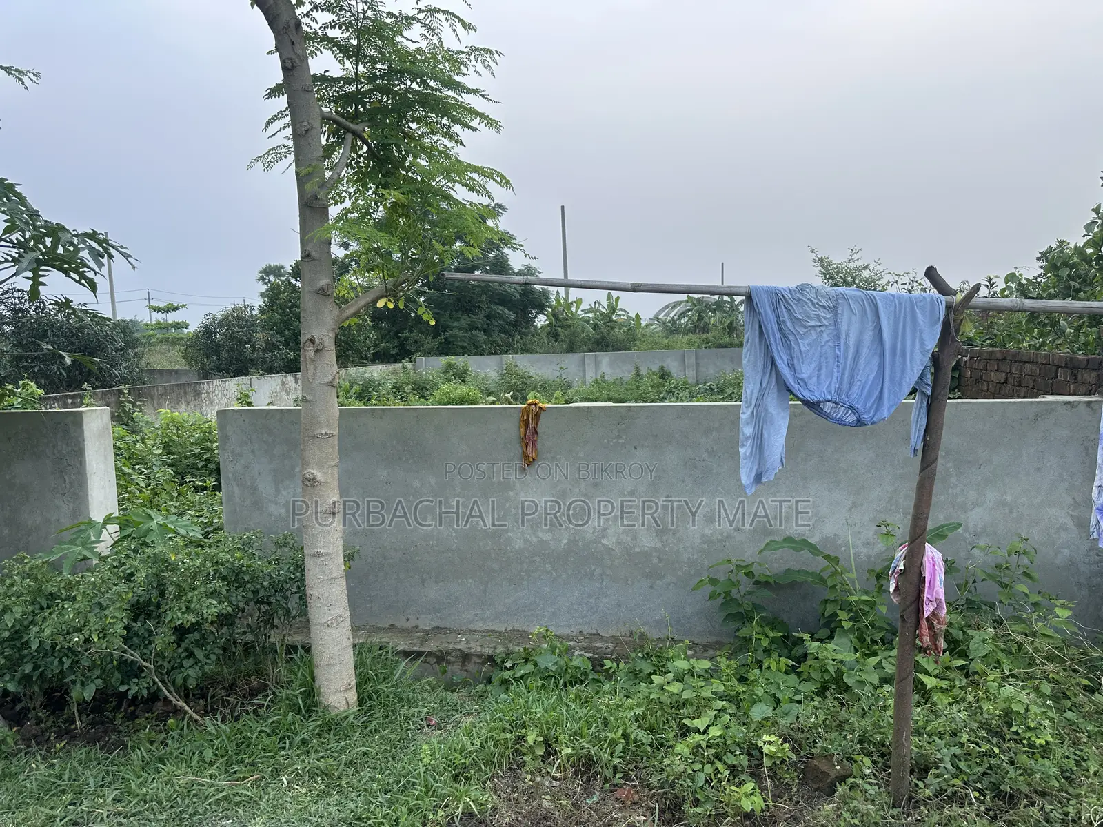 3 Katha South-Facing Boundary-Walled Plot for Sale in Purbachal Sector 25. in Purbachal