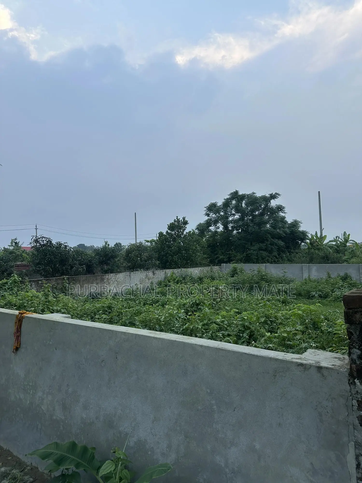 3 Katha South-Facing Boundary-Walled Plot for Sale in Purbachal Sector 25. in Purbachal