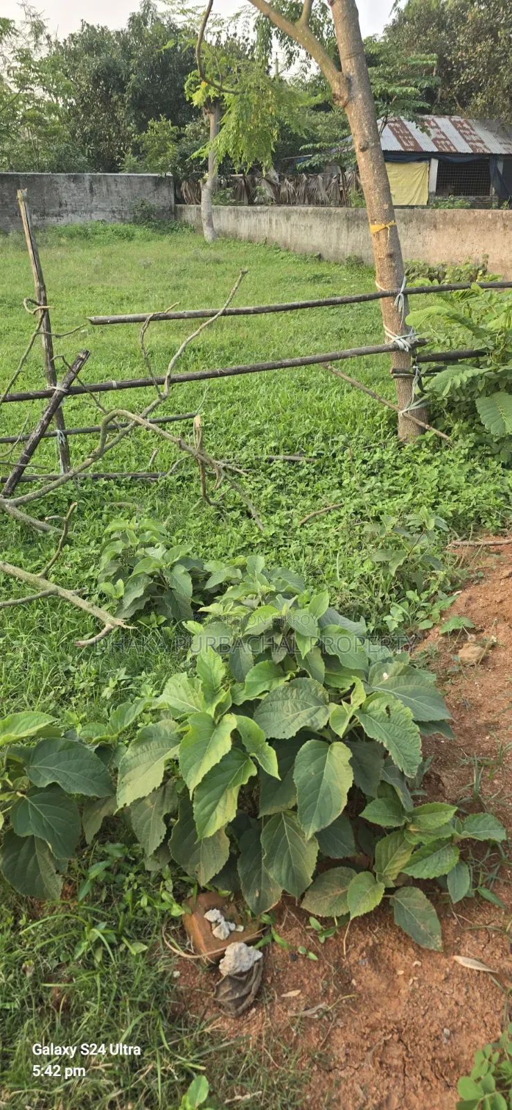 Rajuk 5 Katha Allotted Plot Sell in Purbachal