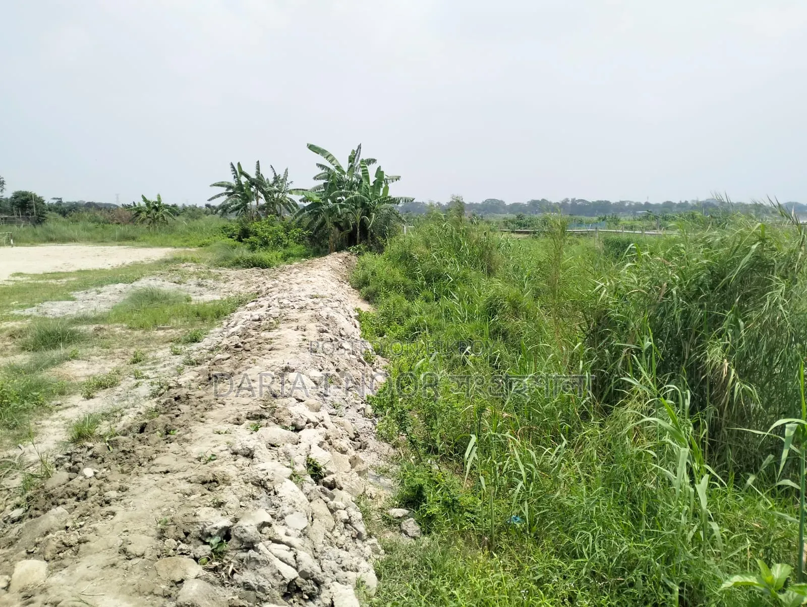 May 10: 300 Bigha Land for Sale Adjacent to Dhaka-Chittagong Highway in Sonargaon
