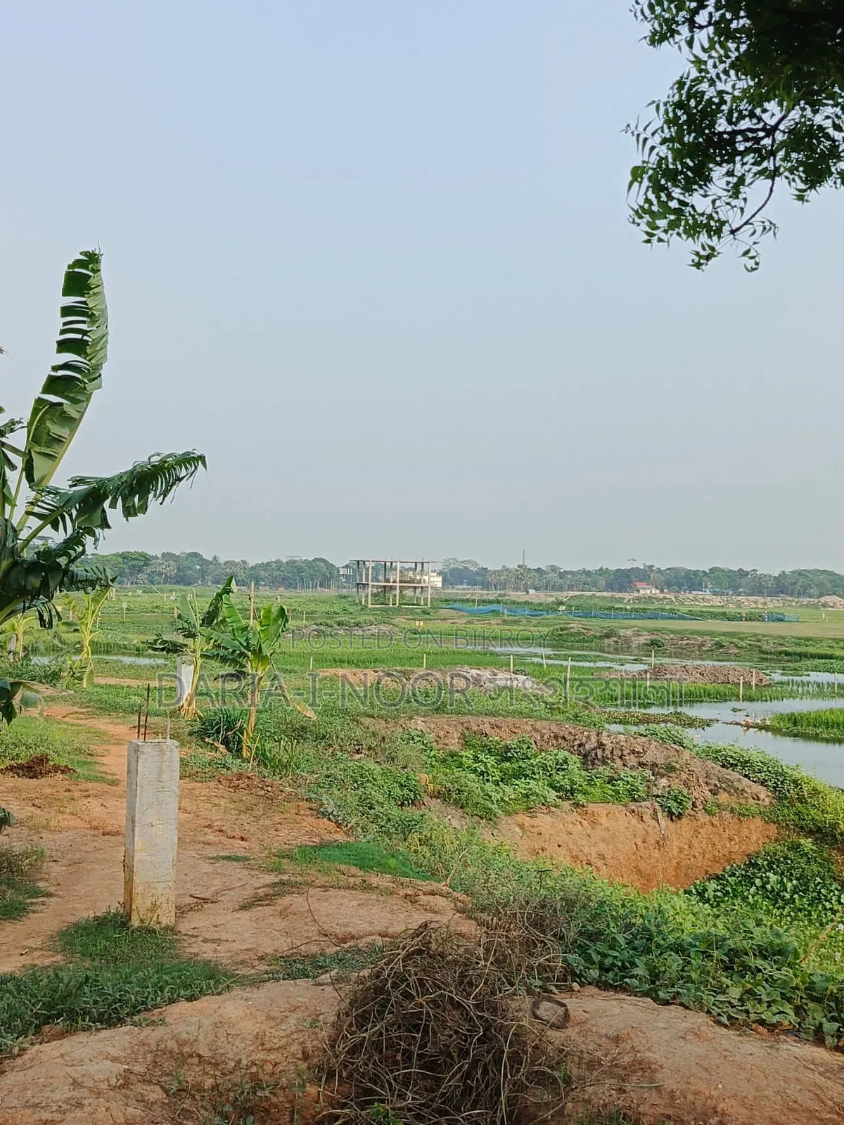 May 10: 300 Bigha Land for Sale Adjacent to Dhaka-Chittagong Highway in Sonargaon
